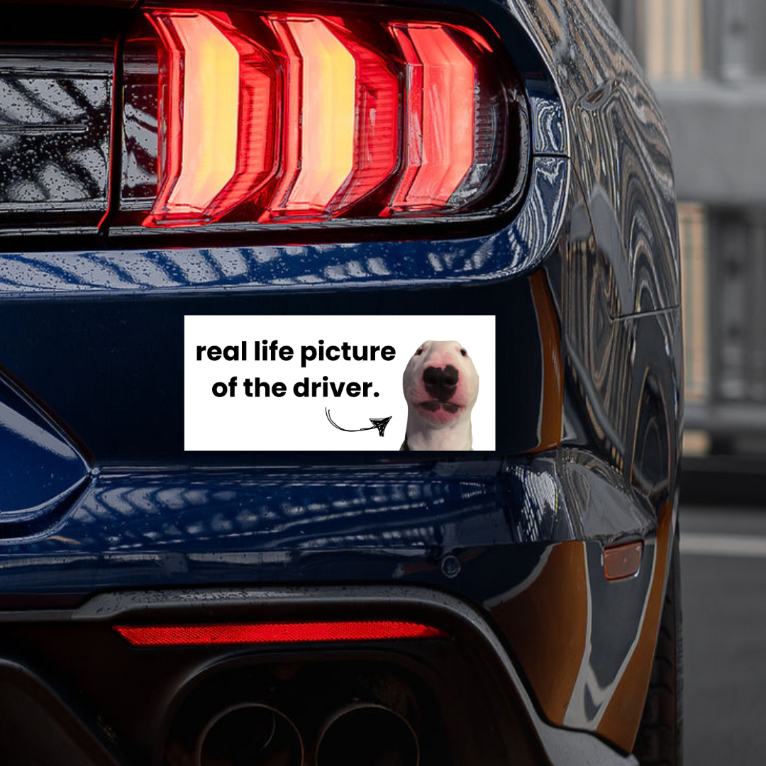 'The Driver' Sticker
