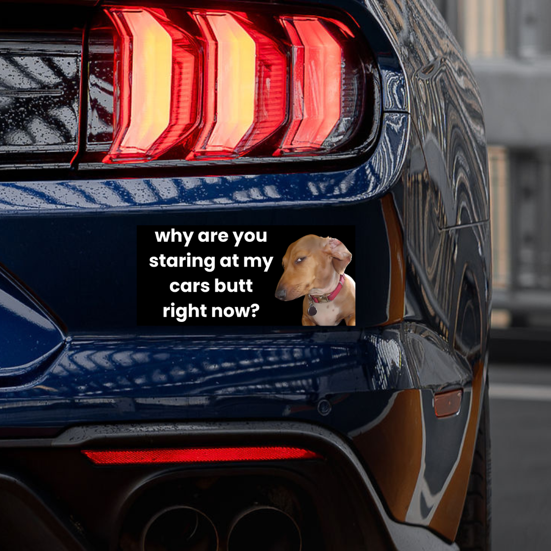 'Why Are You Staring' Sticker