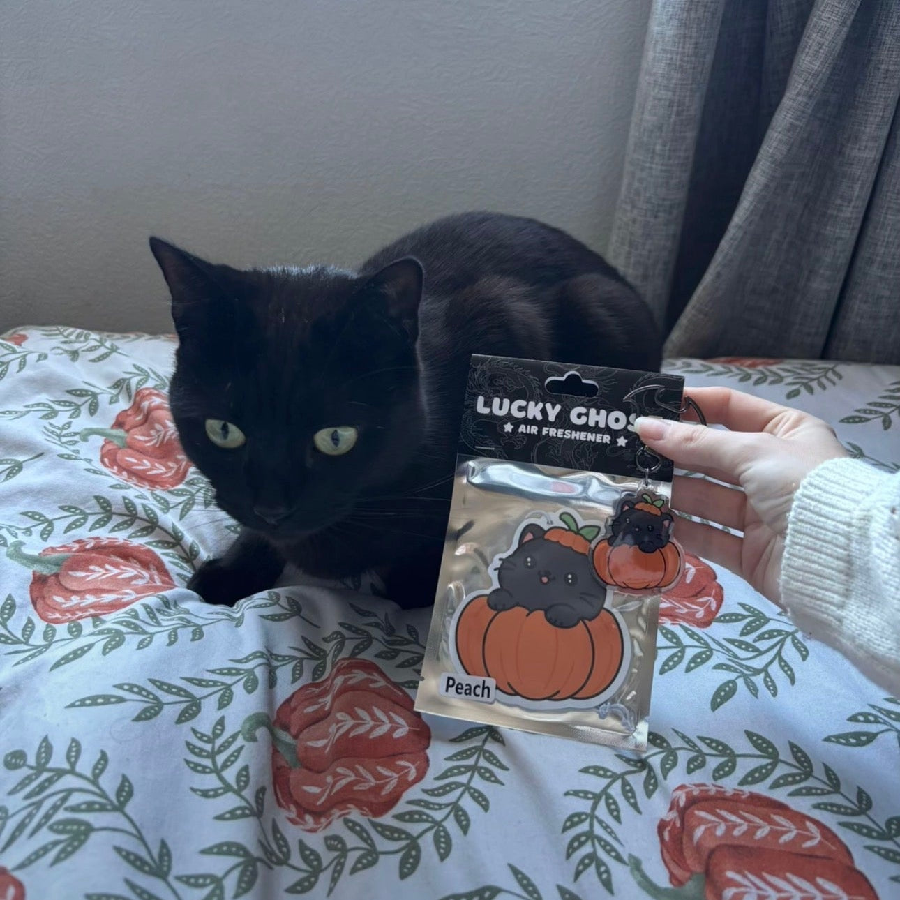 Black cat sitting on a floral-patterned surface with a 'Lucky Choo' air freshener held by a hand.