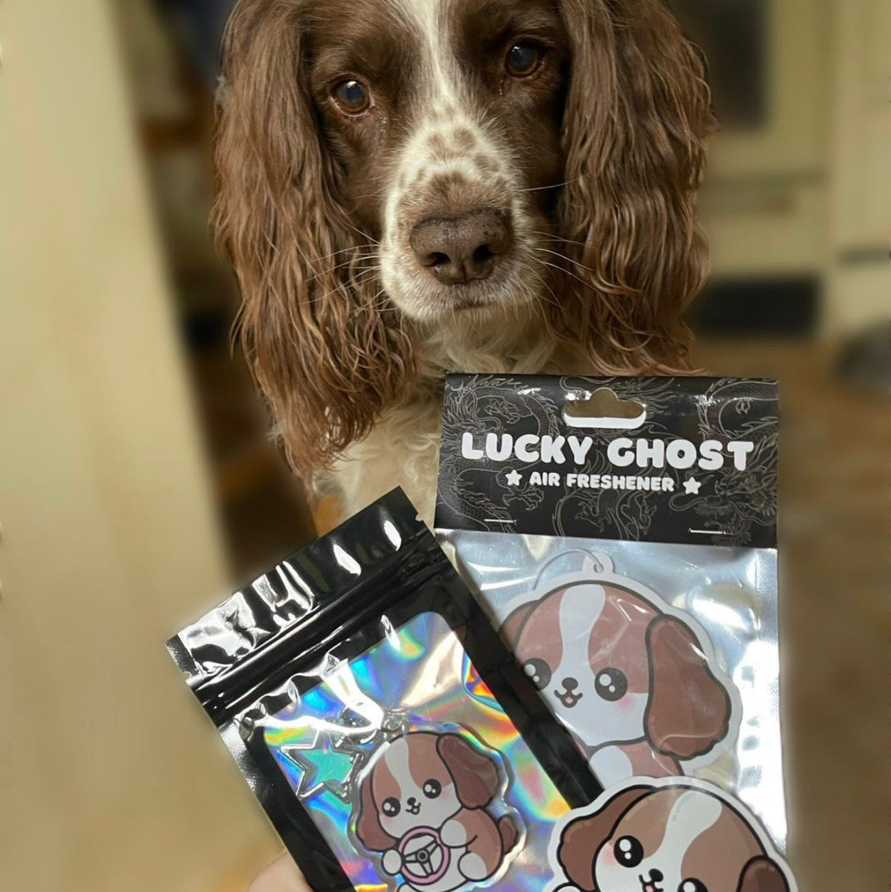 Dog holding Lucky Ghost air freshener packaging
