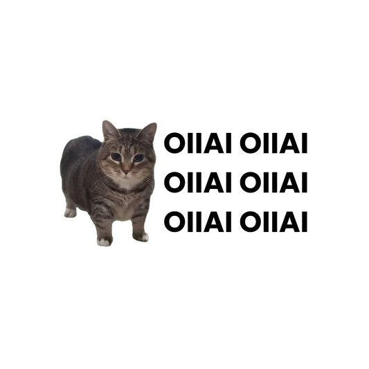 'OIIAI' Sticker