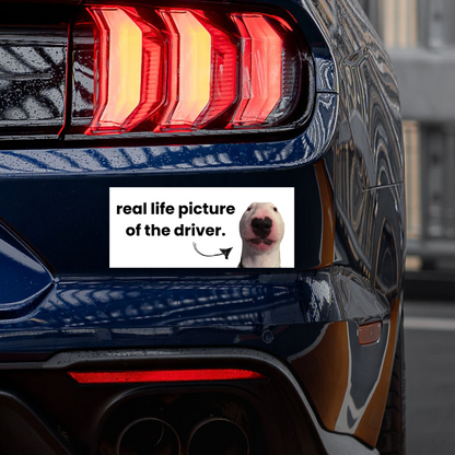 'The Driver' Sticker