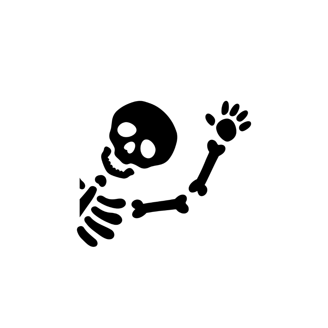 Skeleton Decal