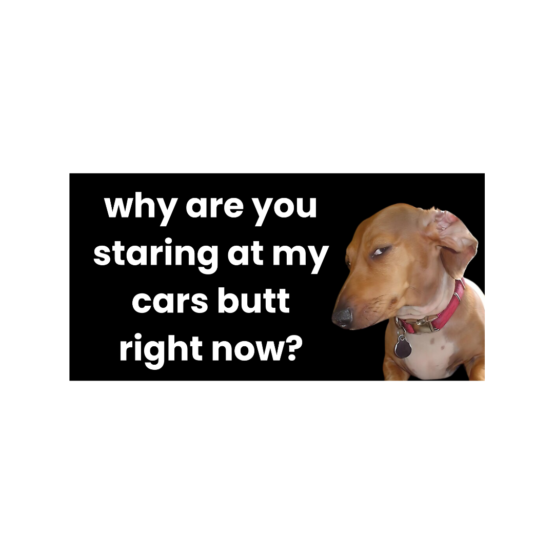 'Why Are You Staring' Sticker