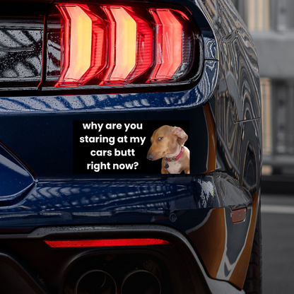 'Why Are You Staring' Sticker